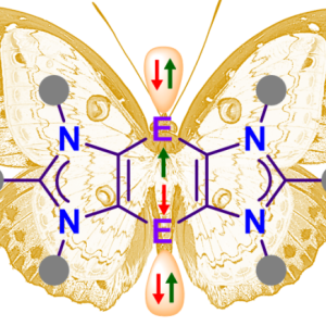 Diradicaloid Diradicaloid